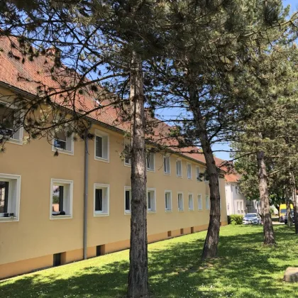 WOHNGENUSS PUR: praktisch geschnittene 2-Raum Wohnung in ruhiger und zentrumsnaher Lage! Preiswert mit heller Raumaufteilung, ebenerdiger Dusche und hochwertigem Zustand! - Bild 3