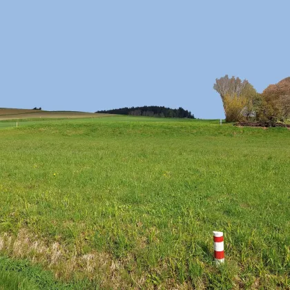 Neuvermessung! Baugrund am Ortsrand! - Bild 2