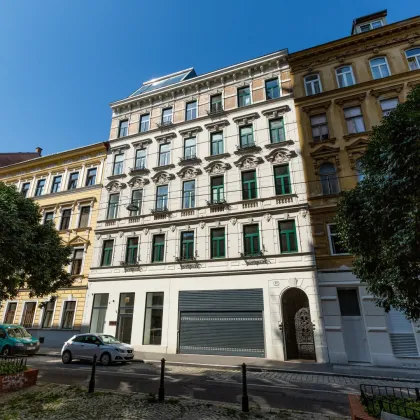 WG-geeignete Altbauwohnung in saniertem Haus - Bild 2