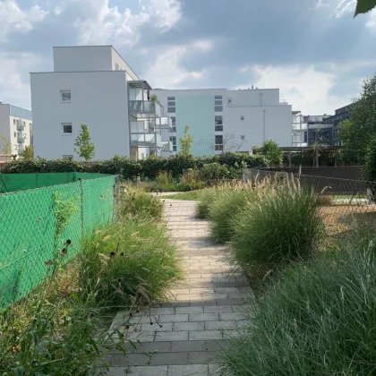 2 ZIMMER WOHNUNG | MIT SÜDLOGGIA | IHR NEUES ZUHAUSE WARTET | AB 1.11.2025 - Bild 3