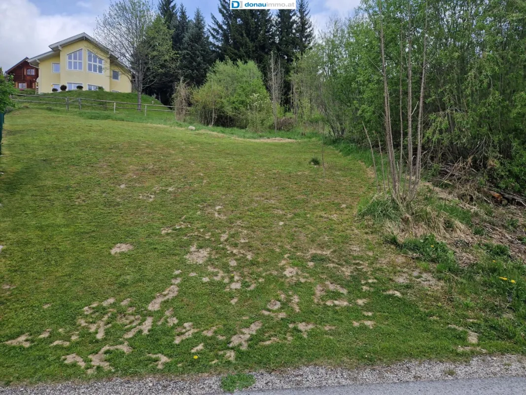 Großzügiges Baugrundstück mit 2815 m² in 8685 Steinhaus am Semmering - Bild 1