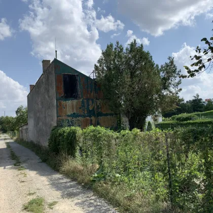 Bauland mit Grünland | Bad Deutsch-Altenburg - Bild 3