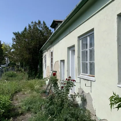 Bauland mit Grünland | Bad Deutsch-Altenburg - Bild 2