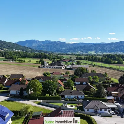 633m2 ebener Baugrund in 4542 Nussbach zu verkaufen - Bild 2