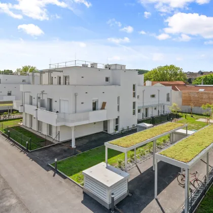 THE VINEYARD. 2 Zimmer Wohnung mit Top-Balkon. - Bild 2