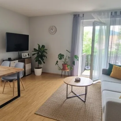 Top Anlegerwohnung in Eggenberg - Bild 2