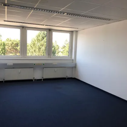Lager/Werkstatt und Büro im Wirtschaftspark Mosetiggasse - Bild 2