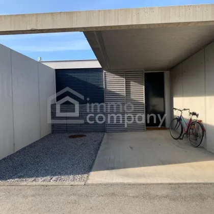 Neusiedlersee - ideales Ferienappartement direkt am See - Bild 3