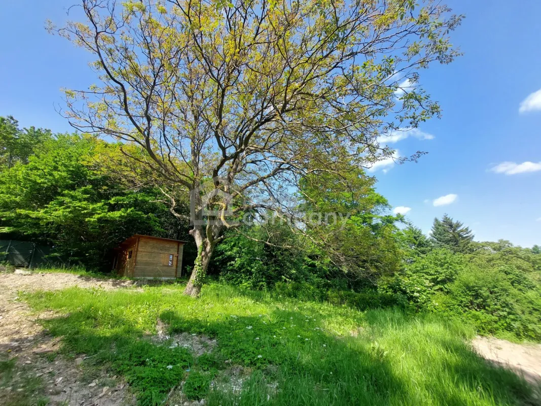 !!! Preisreduktion !!! Baugrundstück in Wienerwald Ruhelage an der Wiener Stadtgrenze im Bezirk Klosterneuburg - Bild 1