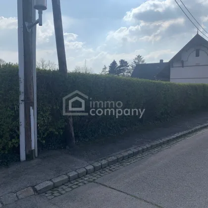 Ebenerdiges Grundstück kommt in Bockfließ zum Verkauf - Bild 3