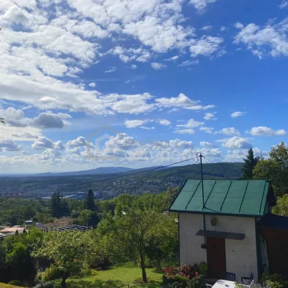 In die Ferne schweifen. -Das Panorama-Grundstück - Bild 3