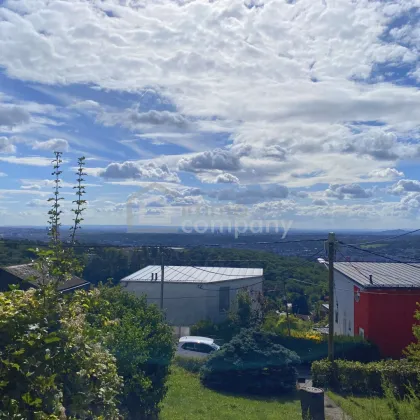 In die Ferne schweifen. -Das Panorama-Grundstück - Bild 2