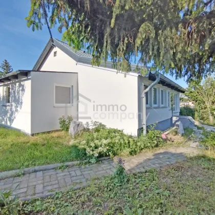 Entzückendes  komplett saniertes Kleingartenhaus auf Eigengrund mit wunderbarem Garten in Ruhelage - Bild 2