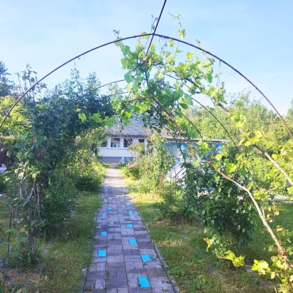 Entzückendes  komplett saniertes Kleingartenhaus auf Eigengrund mit wunderbarem Garten in Ruhelage - Bild 3