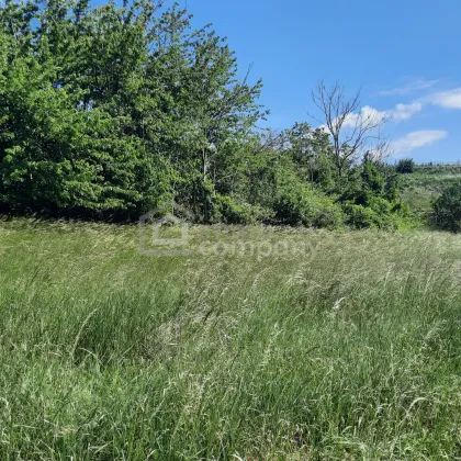 Traumhaftes Baugrundstück in Thallern: 4392 m² für Ihr Eigenheim um nur 249.000 €! - Bild 2