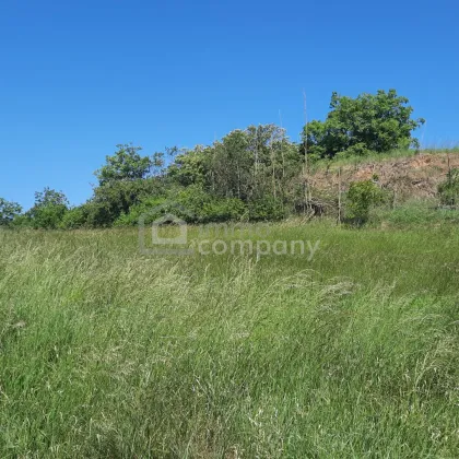 Traumhaftes Baugrundstück in Thallern: 4392 m² für Ihr Eigenheim um nur 249.000 €! - Bild 3