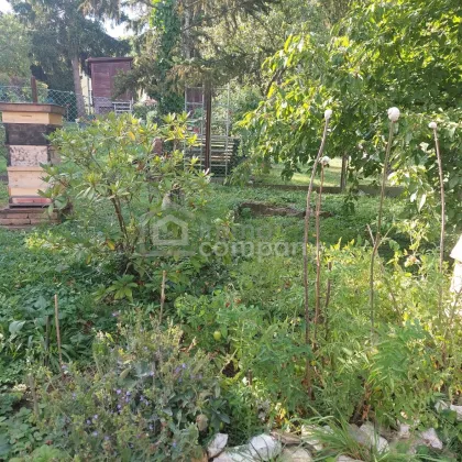 Traumgrundstück in Wien Hietzing mit einzigartigem Ausblick! - Bild 3