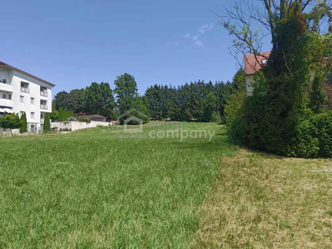5000 m² großer Baugrund in der Gemeinde Bad Tatzmannsdorf - Bild 1