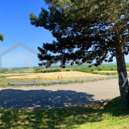 Meer-Panorama Gastronomie - Bild 2