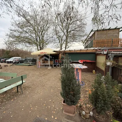 Stammersdorf: Grund zur Nutzung als Gastronomie, Buschenschank, Heuriger - Widmung BB2 - Bild 3