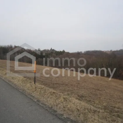 Baugrund mit Aussicht in Höhenlage nahe Jennersdorf - Bild 2
