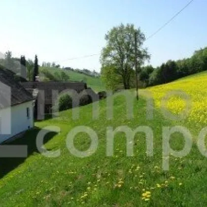 Zwei Bauernhäuser – knapp 6 ha arrondierter Grund – Zusammen in Einzellage - Bild 2