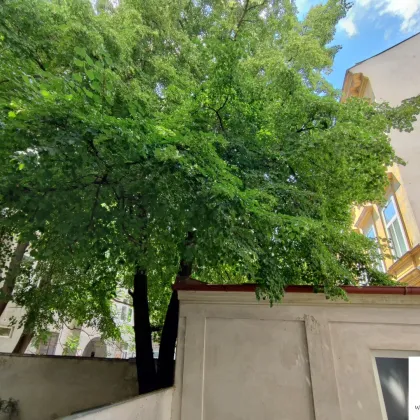 Neu saniert: Erstbezug im Karmeliterviertel, 3 Zi Altbauwohnung im EG - Bild 2