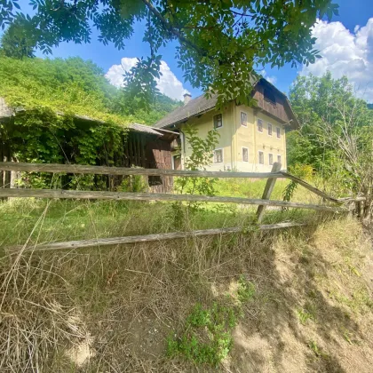 EINMALIG! VIELSEITIG! IDEAL! GROSSES GRUNDSTÜCK (CA. 11.465 m²) MIT EINEM BESTANDSGEBÄUDE IN SEHR GUTER UND SONNIGER AUSSICHTSLAGE VON RADENTHEIN! - Bild 3