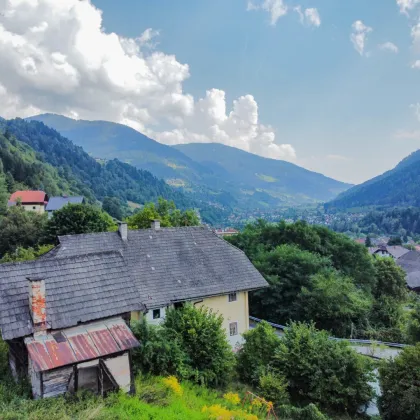 EINMALIG! VIELSEITIG! IDEAL! GROSSES GRUNDSTÜCK (CA. 11.465 m²) MIT EINEM BESTANDSGEBÄUDE IN SEHR GUTER UND SONNIGER AUSSICHTSLAGE VON RADENTHEIN! - Bild 2