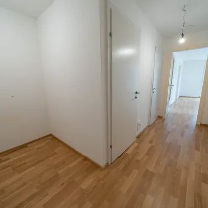 3-Zimmer-Wohnung  / Top C5 - Bild 3