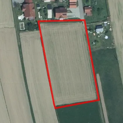 Sonniges und ebenes Baugrundstück samt bestehenden Bebauungsplan in sehr guter Ruhelage - Bild 2