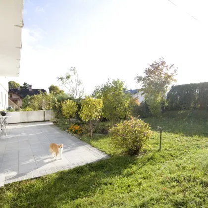 BADEN, Hochstraße 28: direkt am Kurpark gelegen: 3-Zimmer Mietwohnung mit eigenem Garten - direkt vom Wohnzimmer aus (900 Meter in die FuZo) - Bild 2