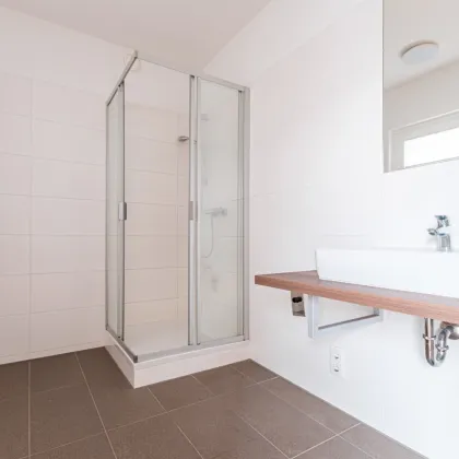 AKTION 1 MONAT MIETZINSFREI! - URBAN GARDENING IM NEUEN VIERTEL REININGHAUS - Bild 3