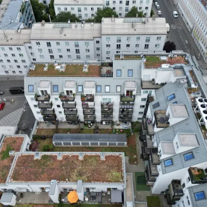 POHL26 – WOHNEN IN BESTLAGE NAHE SCHLOSSPARK SCHÖNBRUNN - Bild 3