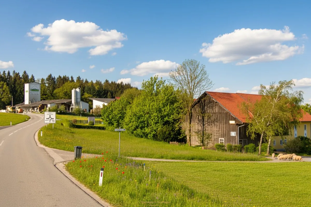 Sonniges Grundstück im Ortsteil Lindet – Naturnahe Lage und hervorragende Verkehrsanbindung in Taiskirchen - Bild 1