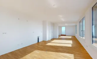 Gras. Green. Living. Grasbergergasse 15 - Modernes Wohnen in Top-Lage - Erstbezug in 1030 Wien!