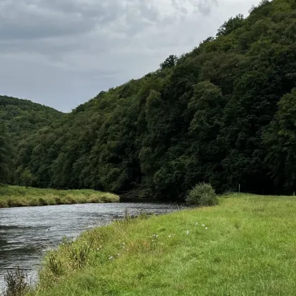 390 ha Waldbesitz mit 460 ha Jagdfläche - Bild 2