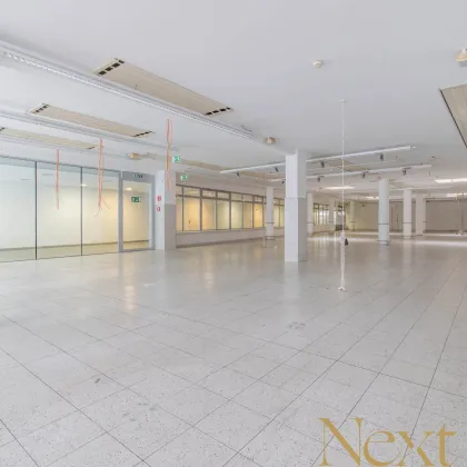 Großzügige Geschäftsfläche mit ca. 849m²  in Linzer Zentrumslage nahe der Landstraße zu vermieten! - Bild 3