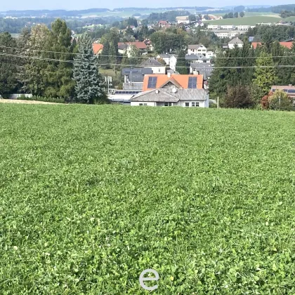 Baugrundstück 177/22 mit 729m² in Eberschwang - Bild 2