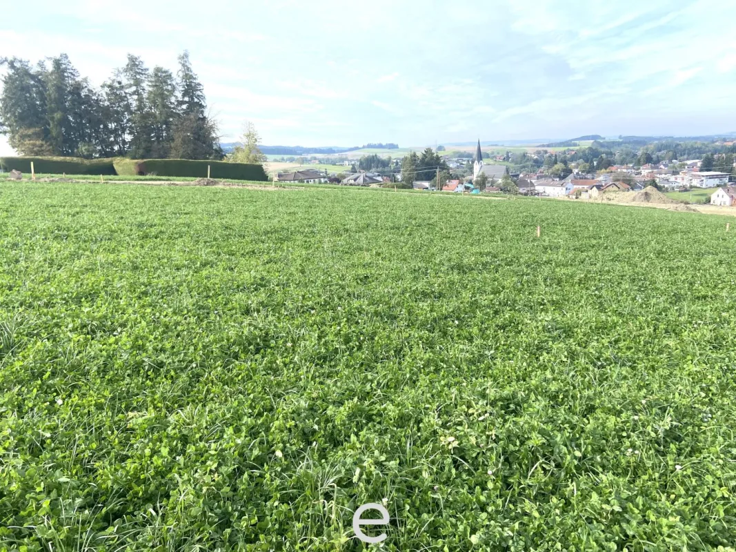 Baugrundstück 177/22 mit 729m² in Eberschwang - Bild 1