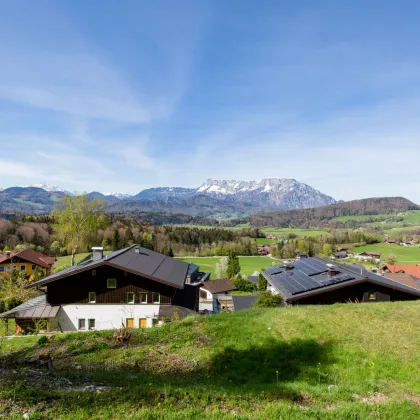 Panoramagrundstück am Wimberg - Bild 3