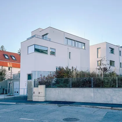 Mödling - Erstbezug - Fernblick - Bild 2