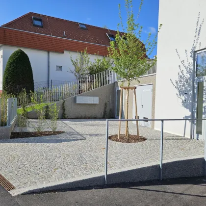 Mödling - Erstbezug - Fernblick - Bild 3