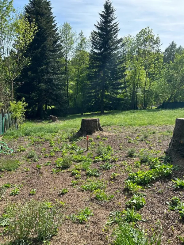 Grundstück in Bestlage - Bild 1