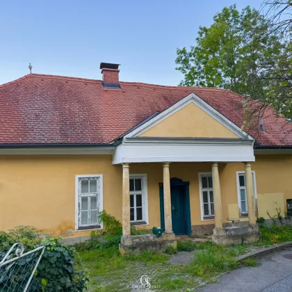 Uriges Landhaus im Biedermeier-Stil - mit Sanierungsbedarf - Bild 3