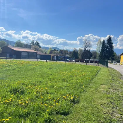 Baugrund in Grünlage mit sonnigen Ausblick - Bild 3
