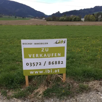 Baugrund in Grünlage mit sonnigen Ausblick - Bild 2