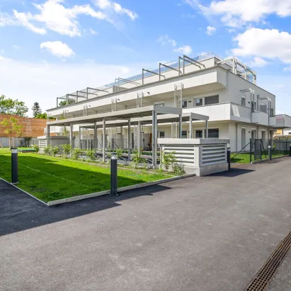 THE VINEYARD. 3 Zimmer und traumhafter 140m² Terrasse. - Bild 3