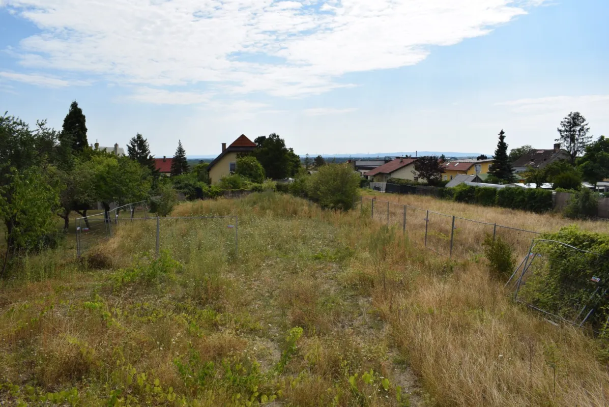 BAUTRÄGER, 2 Wunderschöne, große Grundstücke in Sooß, RUHE, Schönweg 8 - Bild 1
