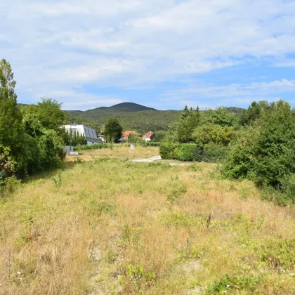 BAUTRÄGER, 2 Wunderschöne, große Grundstücke in Sooß, RUHE, Schönweg 8 - Bild 2